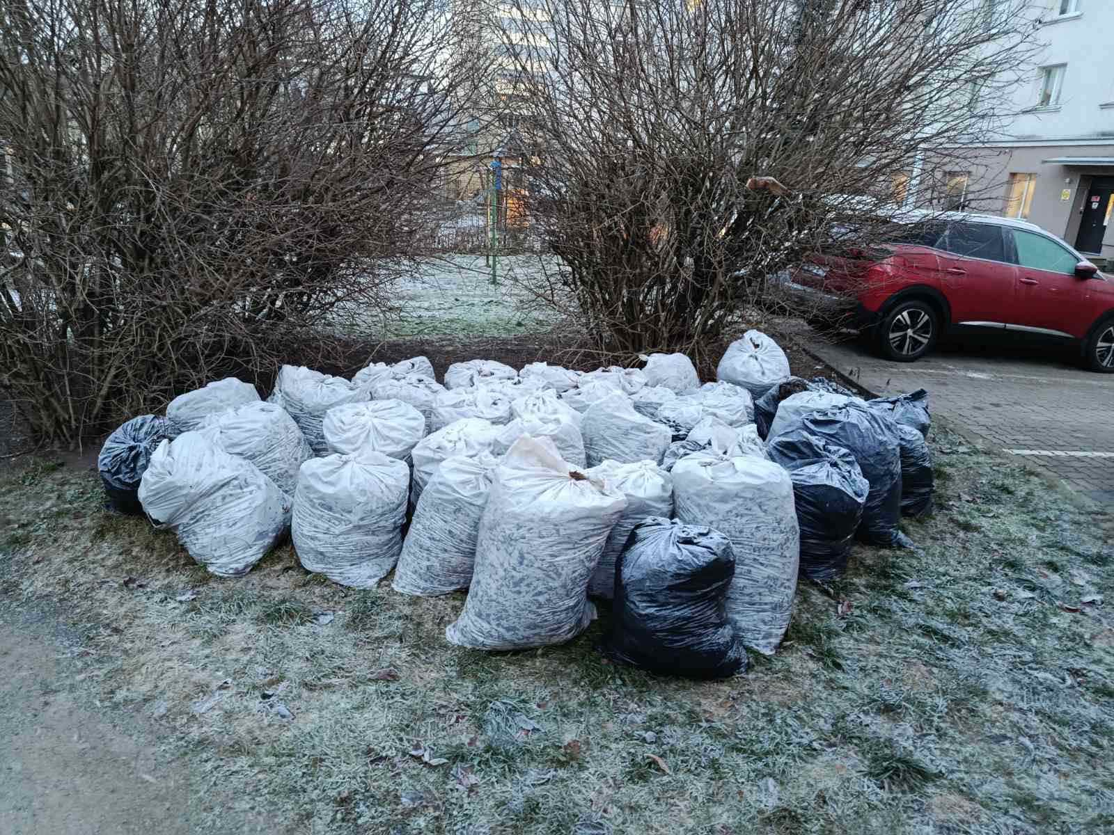 Okste äravedu ja aiajäätmete koristus krundilt
